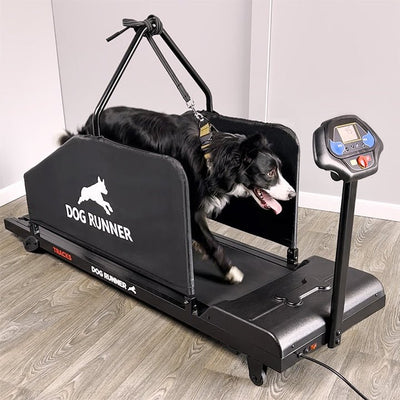 Enhance Your Dog's Fitness with the Dog Runner Tracks: A Professional Trainer's Perspective
