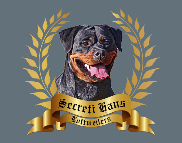 secreti haus rottweilers