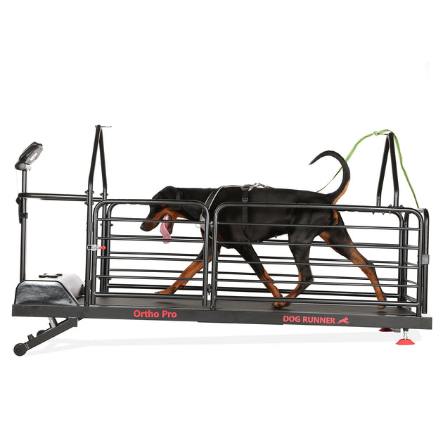 http://maximumk9service.com/cdn/shop/products/dog-runner-treadmill-ortho-prodog-runnermaximum-k9-services-330140_1200x630.jpg?v=1698422405