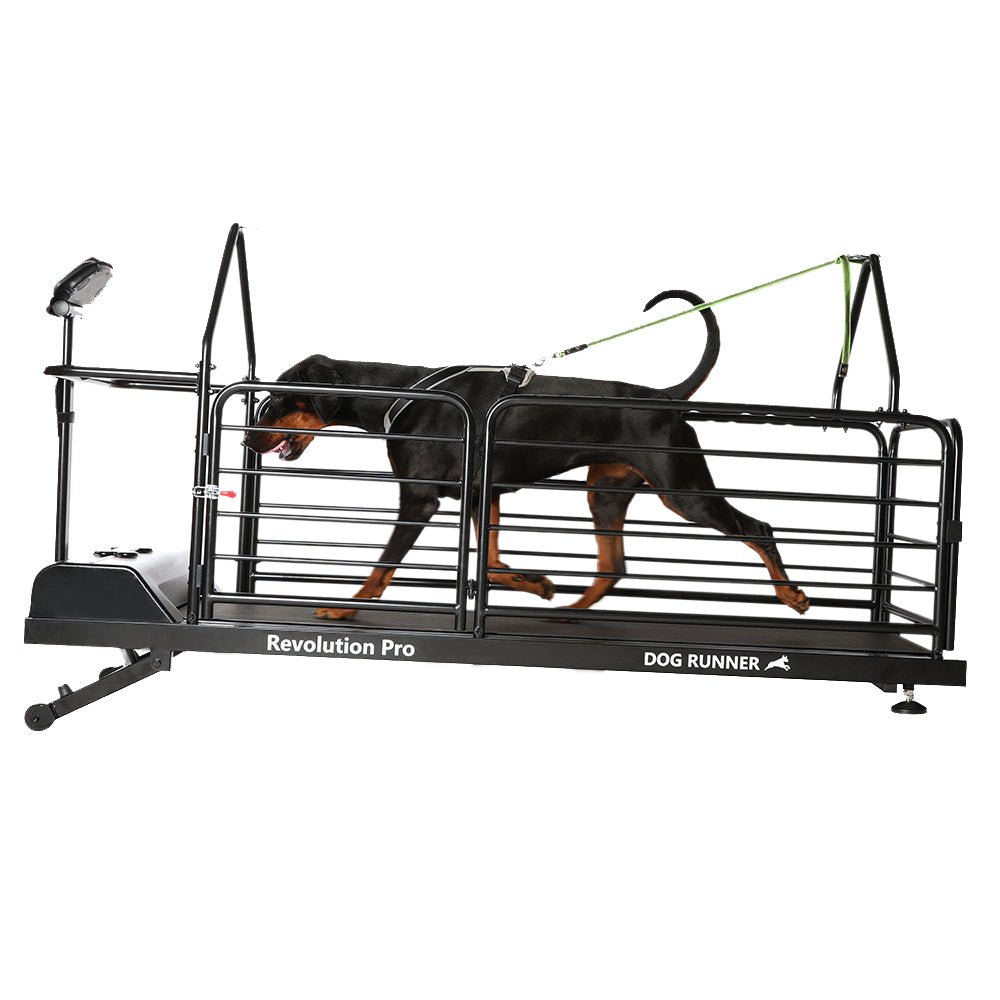 Dog Treadmill for Large Dogs, Dog Treadmill for Medium Dogs Tread