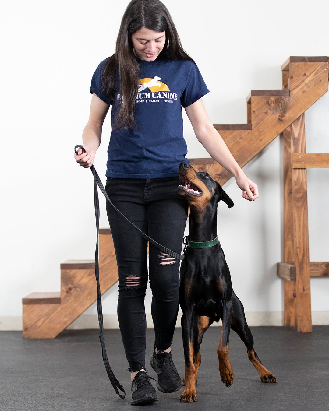 Quick PAA-style questions about the 7 commands to train a dog