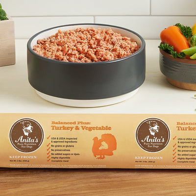 Debunking Myths: The Truth About Raw Dog Food and Salmonella Risks