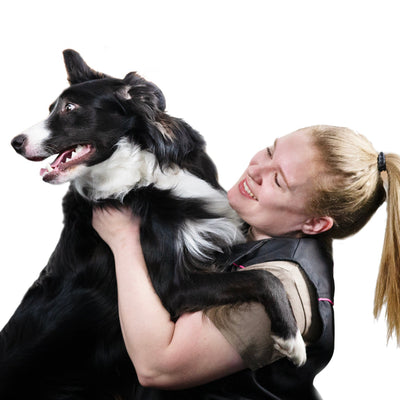 Strengthening the Canine Connection: The Importance of Dog Training