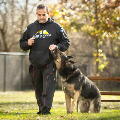 Tailoring Dog Training to Your Dog's Unique Needs: The Importance of Personalized Training Methods