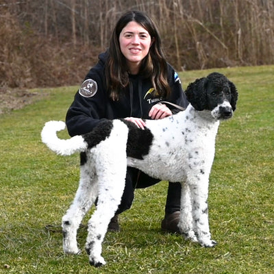 Unlock Your Dog's Potential with Maximum Canine's Board & Train Program on Long Island Written By: Nicole Sulzbach, Certified Dog Trainer at Maximum Canine