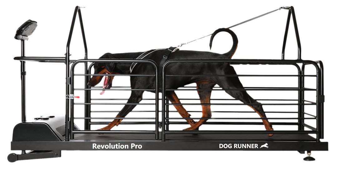 Dog Runner Treadmill Revolution Pro – Maximum K9 Services