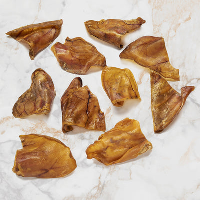 10 Pack of Anita's Pure Nutrition: Roasted Pigs Ears - Dog Treats - Scoochie Pet Products - Maximum K9 Services