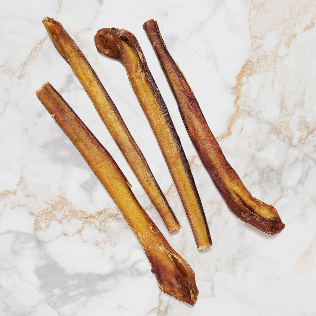 4 Pack 12 Inch JUMBO Bully Stick in Zip Lock Bag odorless Maximum K9 Services