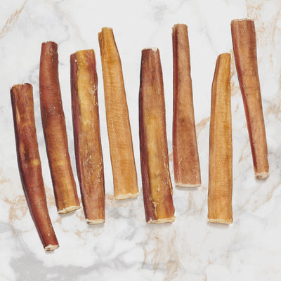 8 Pack 6 Inch JUMBO Bully Stick in Zip Lock Bag odorless - Nutrition - Scoochie Pet Products - Maximum K9 Services