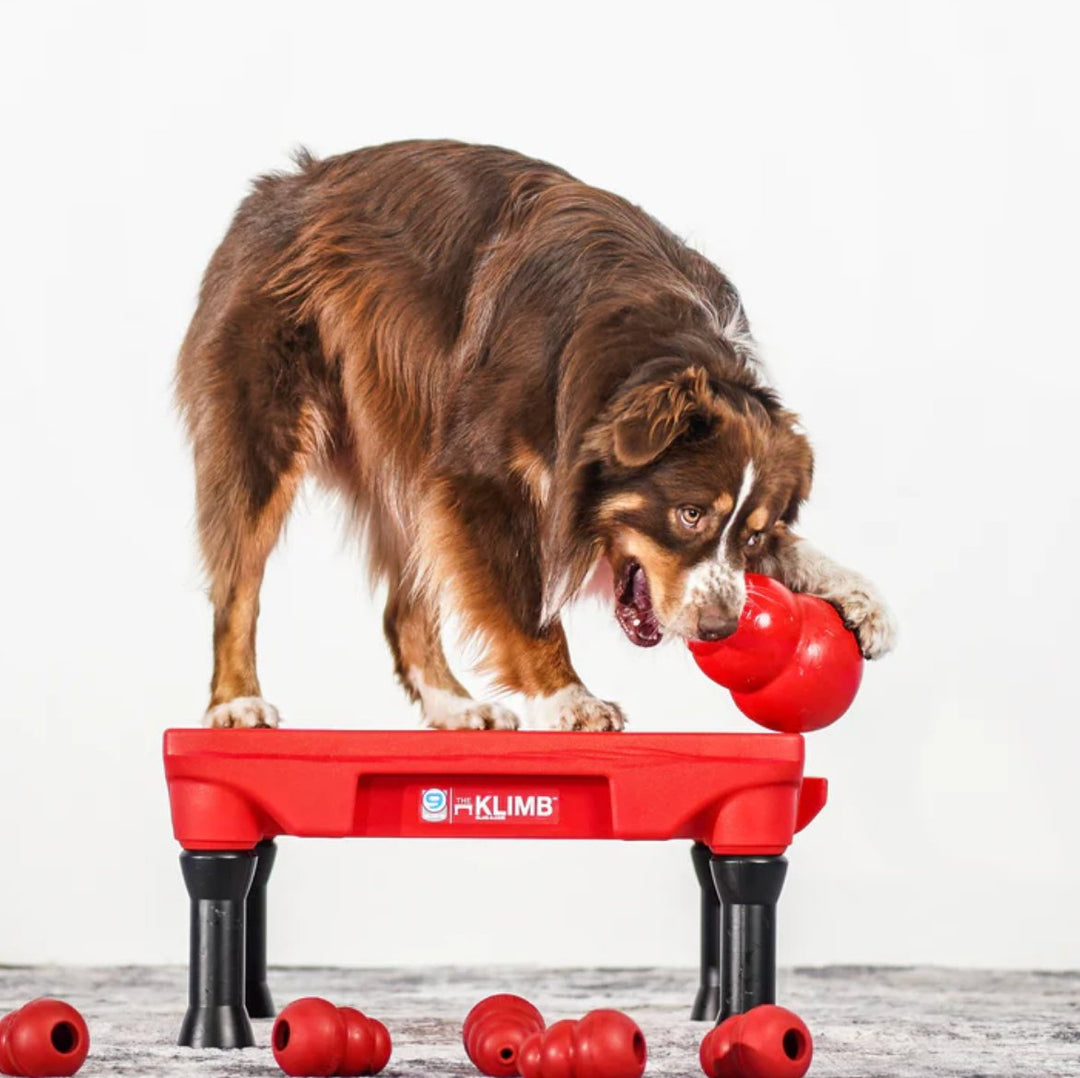 K9 Training Stand Proud K9 KLIMB Dog Training Platform – Behavior
