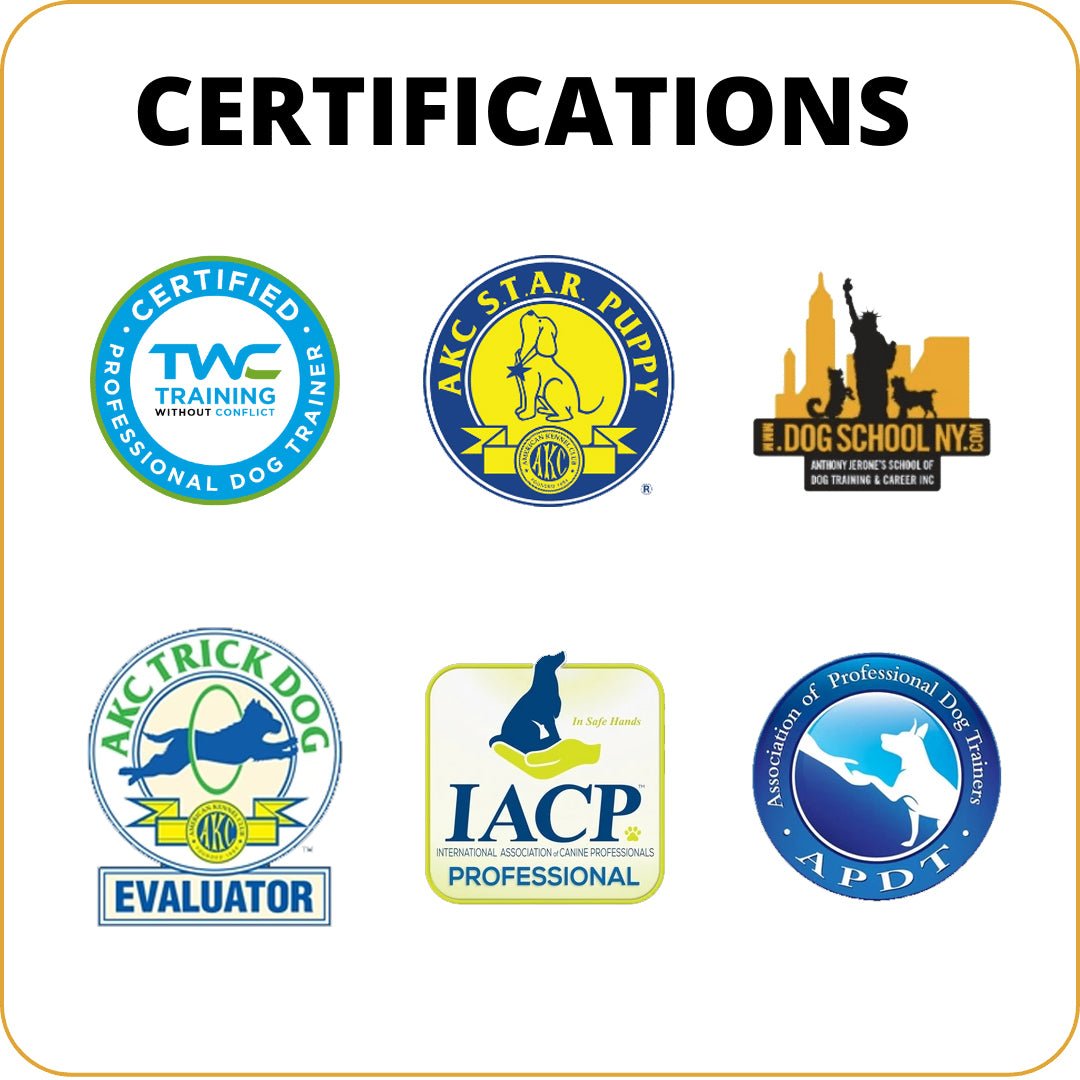 One-on-One Evaluation (Moeses Test) - Maximum K9 Services-Maximum K9 Services