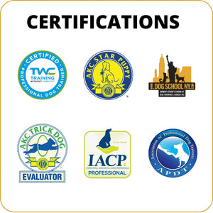 One-on-One Evaluation (Moeses Test) - Maximum K9 Services-Maximum K9 Services