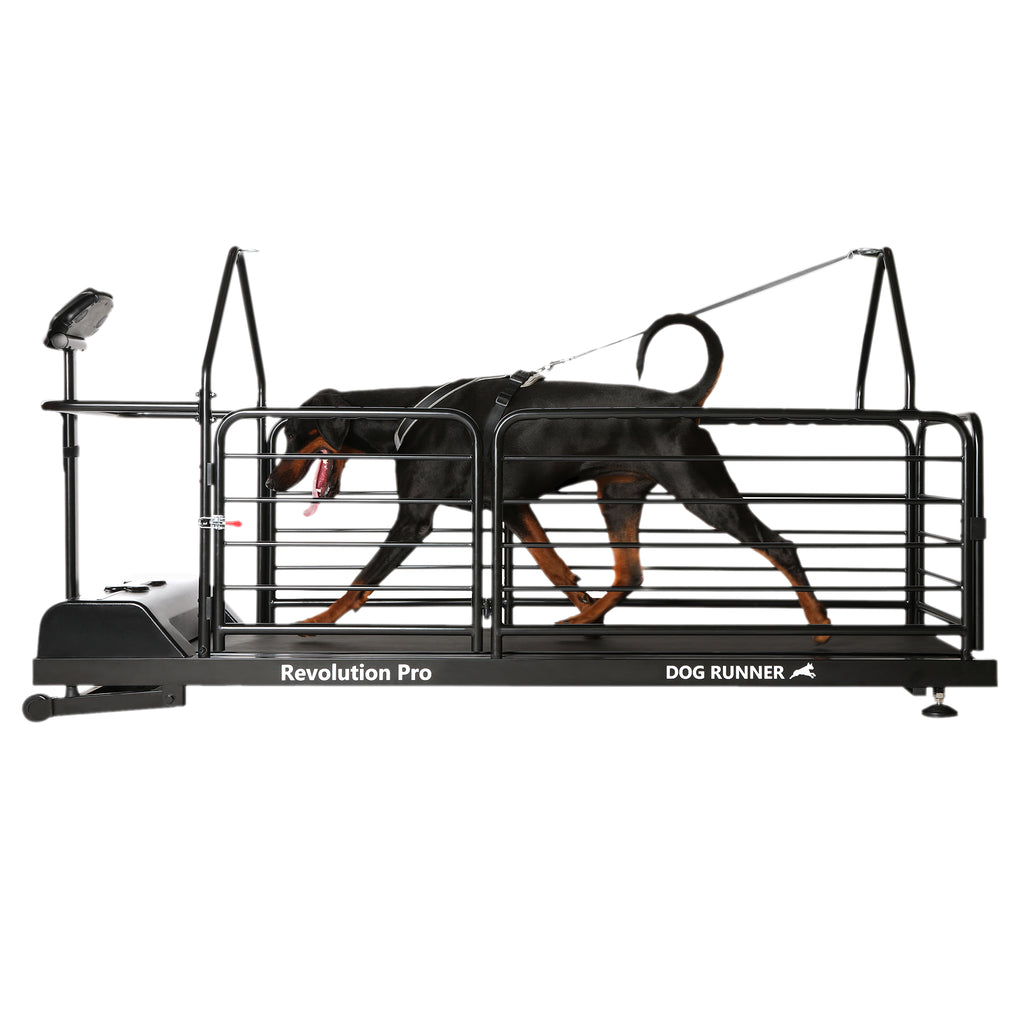 Dog Runner Treadmill Revolution Pro Canine Training Treadmill