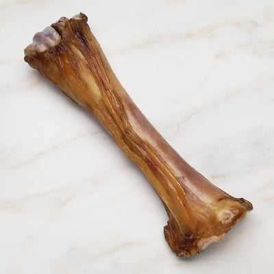 7 Inch Natural Roasted Shin Bone-Nutrition-Scoochie Pet Products-Maximum K9 Services