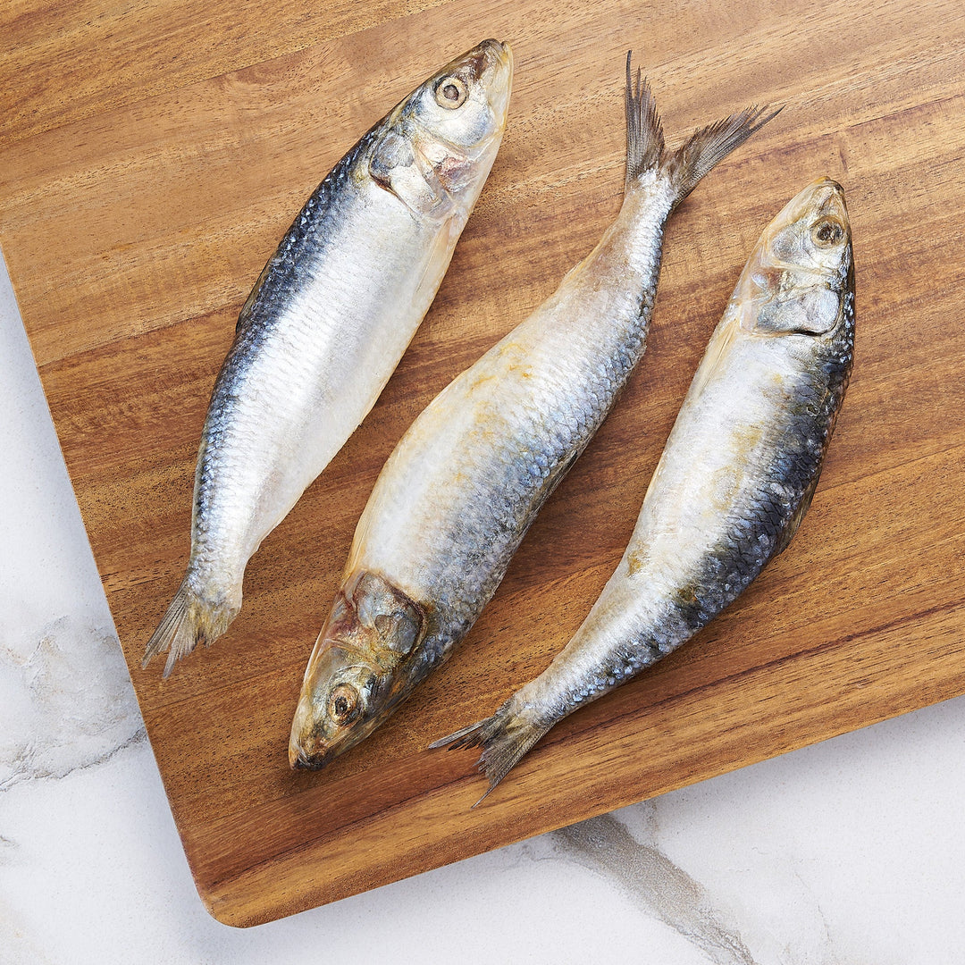 Anita's Pure Nutrition – Wild Caught Whole Sardines (Frozen) - 5lb