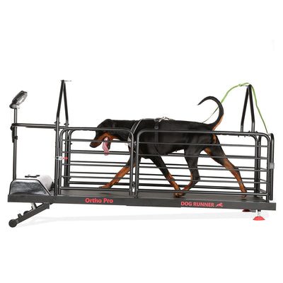 Dog Runner Treadmill Ortho Pro--Dog Runner-Maximum K9 Services