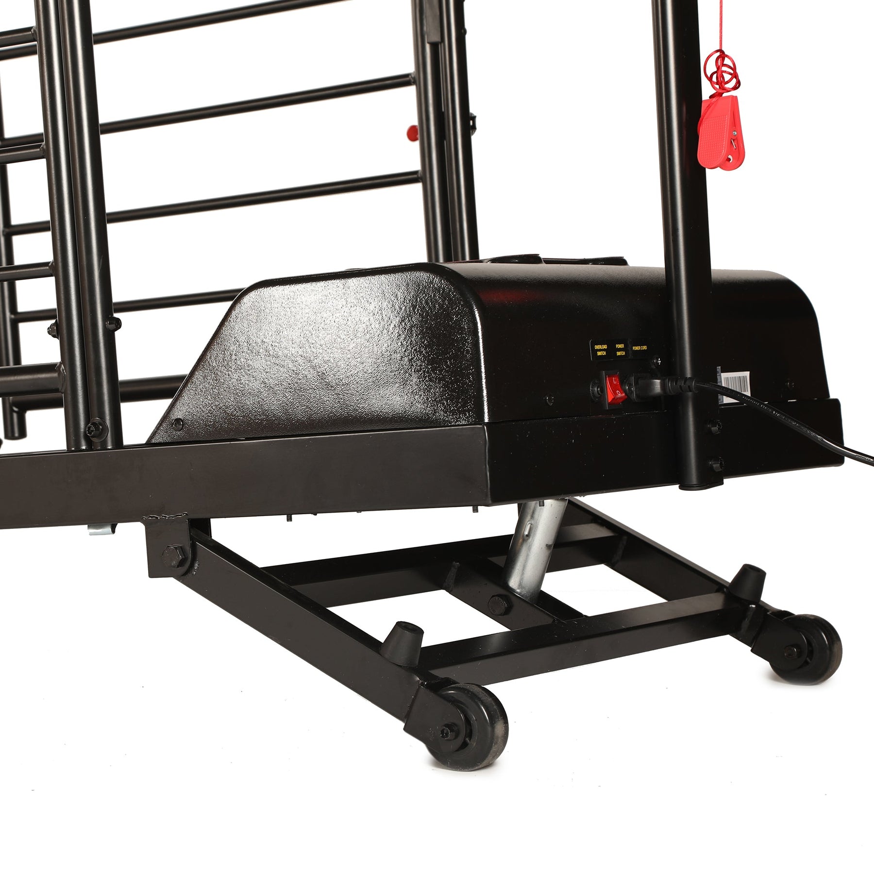 Dog Runner Treadmill Ortho Pro – Maximum K9 Services