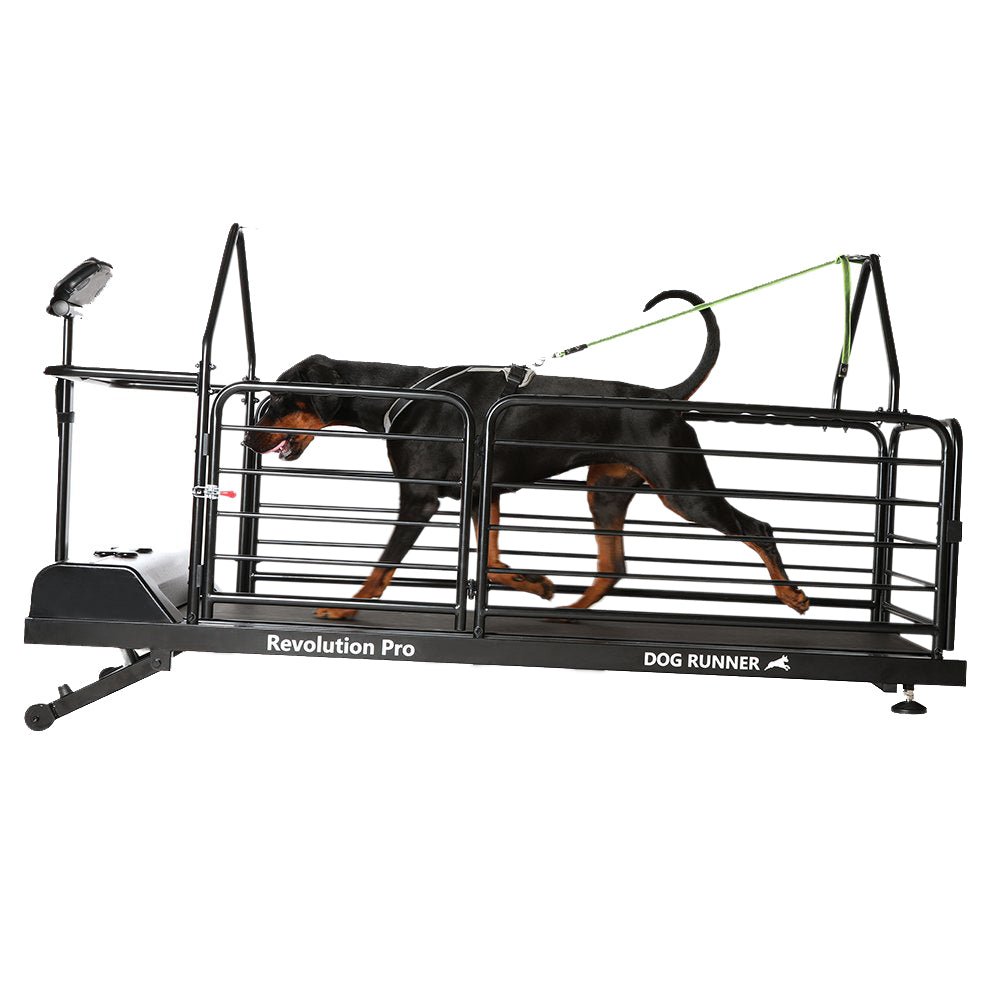 Dog Runner Treadmill Revolution Pro Canine Training Treadmill