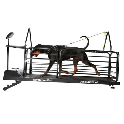 Dog Runner Treadmill Revolution Pro--Dog Runner-Maximum K9 Services