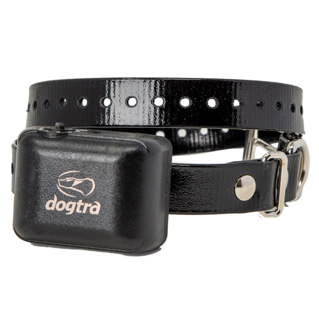 dogtra-ys300-no-bark-collar-