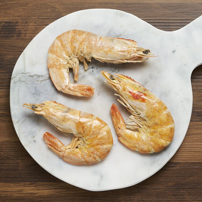 Freeze-Dried Shrimp-Dog Treats-Droolicious-Maximum K9 Services