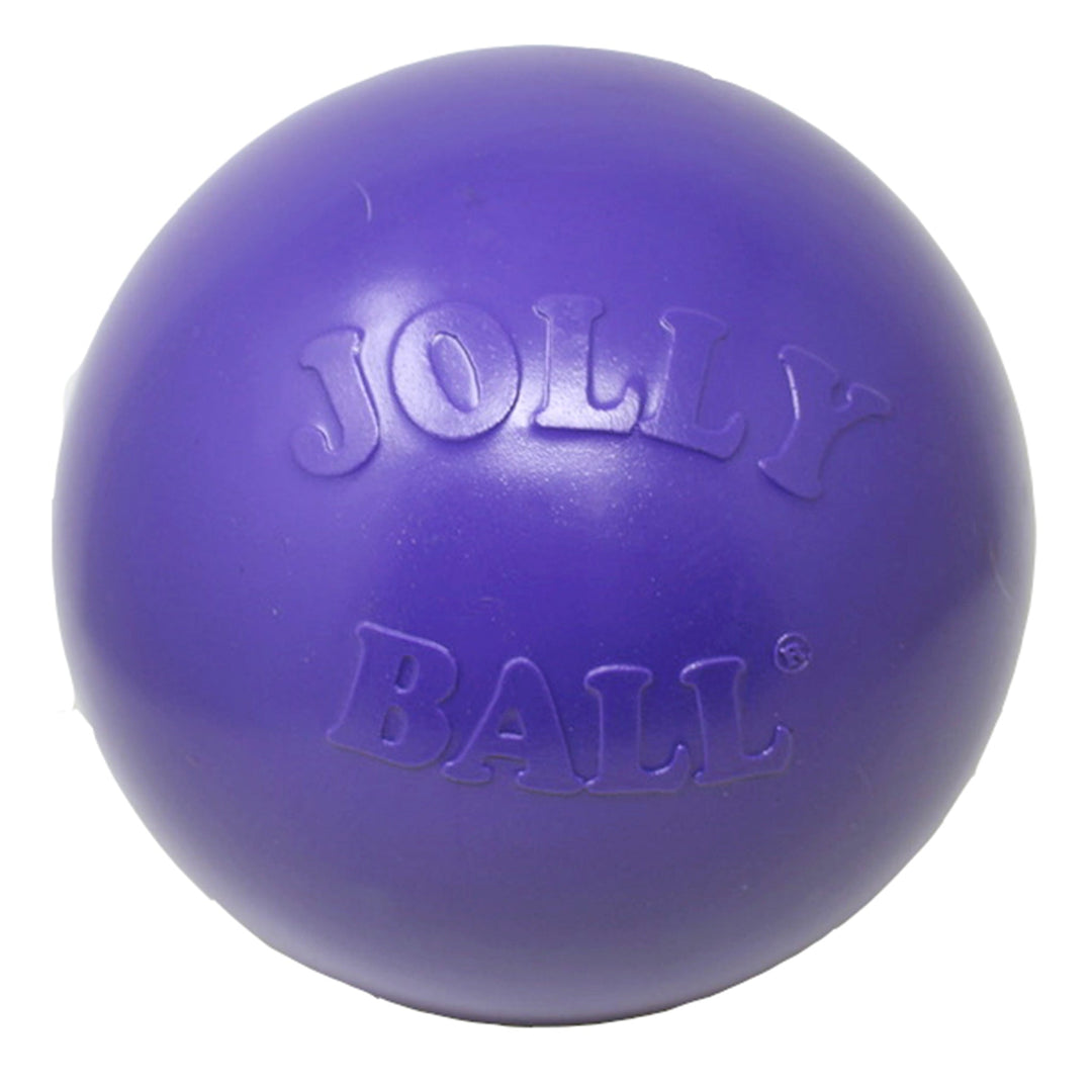 Jolly Pets Push N Play – Maximum K9 Services