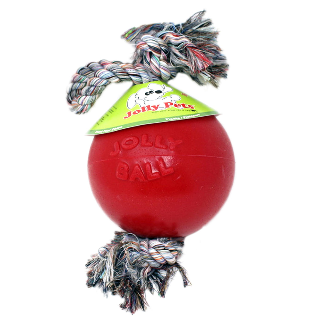 Jolly Pets Romp n Roll Toy
