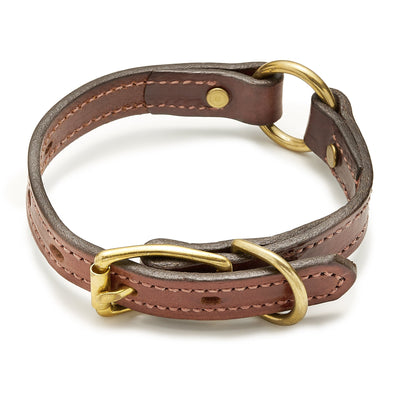 Mendota Narrow Leather Hunt Collar--Maximum Canine-Maximum K9 Services