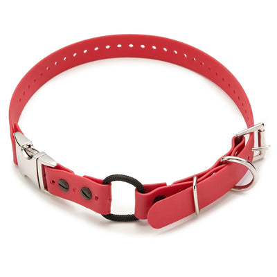 Quick Release Buckle E-collar Strap--E-Collar Technologies-Maximum K9 Services