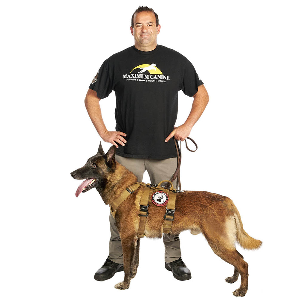 K9 Behavior Pro K9 Dog Training Behavior K9 Board And Train